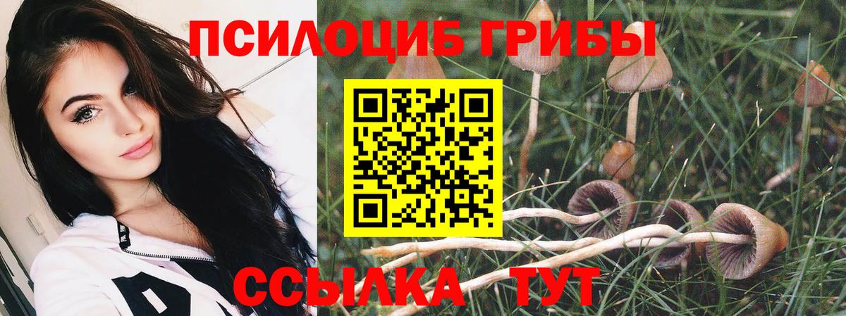 Псилоцибиновые грибы мицелий Луховицы
